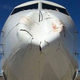 Imagen para el artículo titulado Qué pasa realmente cuando un pájaro impacta contra un avión